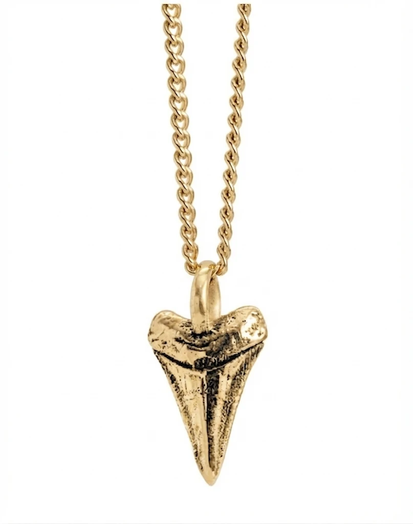Collar Colmillo, Oro 14k